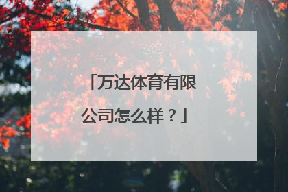 万达体育有限公司怎么样？