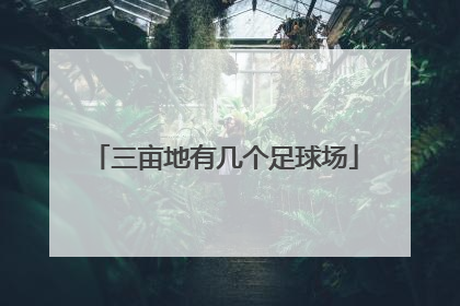 三亩地有几个足球场