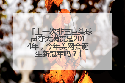 上一次非三巨头球员夺大满贯是2014年，今年美网会诞生新冠军吗？