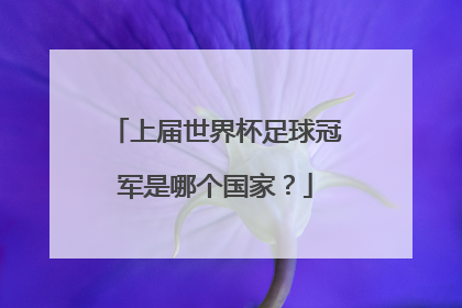 上届世界杯足球冠军是哪个国家？