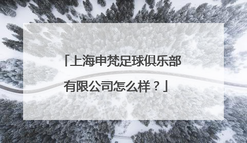 上海申梵足球俱乐部有限公司怎么样？