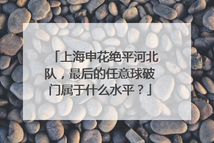 上海申花绝平河北队，最后的任意球破门属于什么水平？