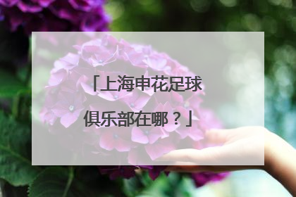 上海申花足球俱乐部在哪？