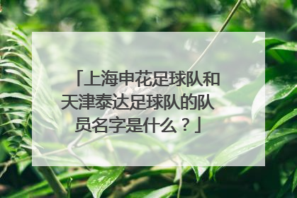 上海申花足球队和天津泰达足球队的队员名字是什么？