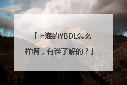 上海的YBDL怎么样啊，有谁了解的？