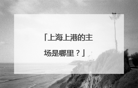 上海上港的主场是哪里？