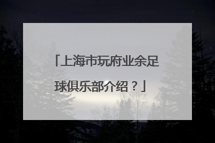 上海市玩府业余足球俱乐部介绍？