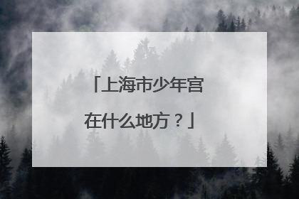 上海市少年宫在什么地方？