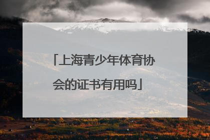 上海青少年体育协会的证书有用吗