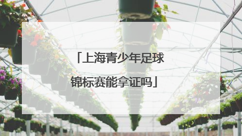 上海青少年足球锦标赛能拿证吗