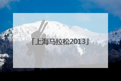「上海马拉松2013」上海马拉松2022年报名