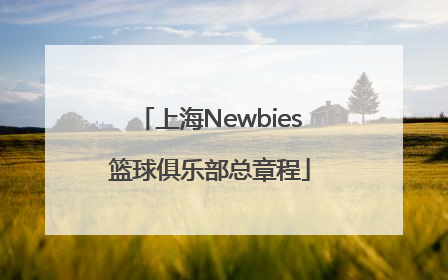 上海Newbies篮球俱乐部总章程