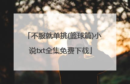 不服就单挑(篮球篇)小说txt全集免费下载