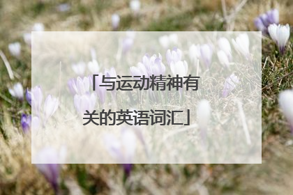 与运动精神有关的英语词汇