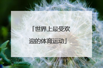 「世界上最受欢迎的体育运动」世界上最受欢迎的体育运动员