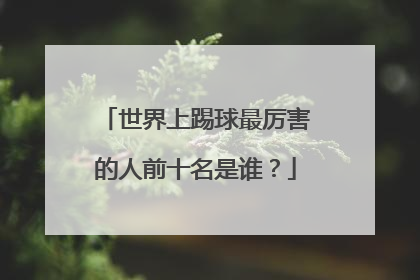 世界上踢球最厉害的人前十名是谁？