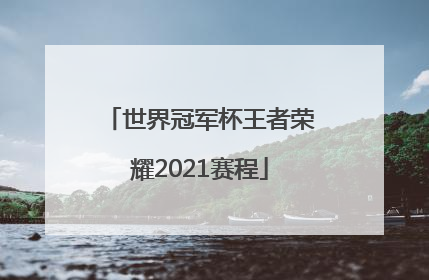 世界冠军杯王者荣耀2021赛程