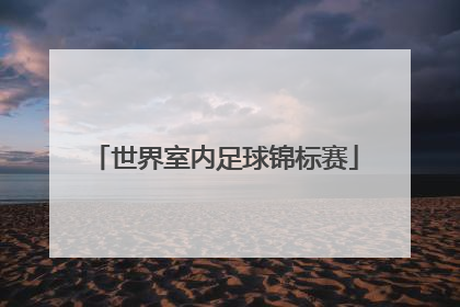 「世界室内足球锦标赛」世界中学生足球锦标赛