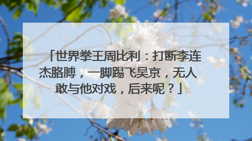 世界拳王周比利：打断李连杰胳膊，一脚踢飞吴京，无人敢与他对戏，后来呢？