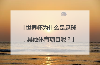 世界杯为什么是足球，其他体育项目呢？