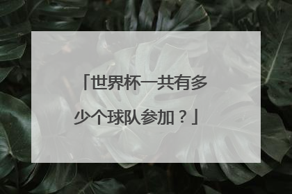 世界杯一共有多少个球队参加？