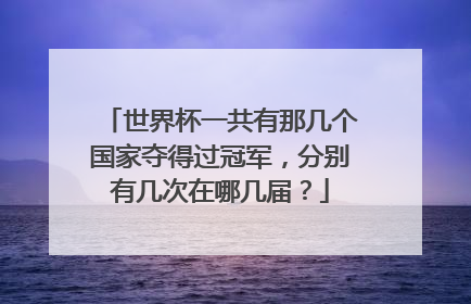 世界杯一共有那几个国家夺得过冠军，分别有几次在哪几届？