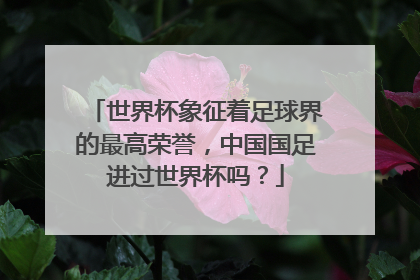 世界杯象征着足球界的最高荣誉，中国国足进过世界杯吗？