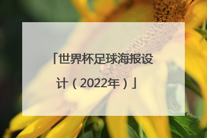 世界杯足球海报设计（2022年）