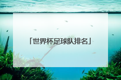 「世界杯足球队排名」世界杯足球队实力排名2020