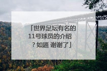 世界足坛有名的11号球员的介绍？如题 谢谢了