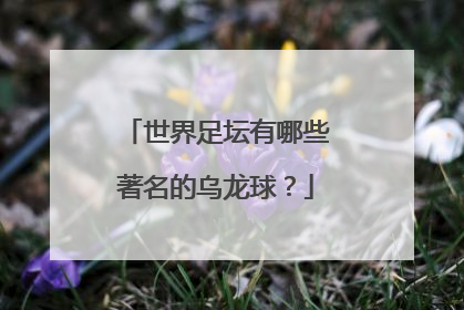 世界足坛有哪些著名的乌龙球？