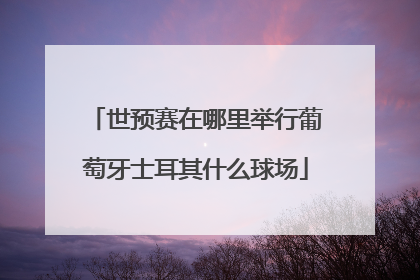 世预赛在哪里举行葡萄牙士耳其什么球场