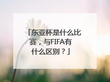 东亚杯是什么比赛，与FIFA有什么区别？