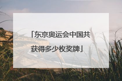 东京奥运会中国共获得多少枚奖牌