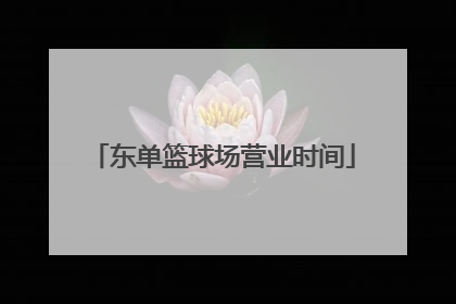 东单篮球场营业时间