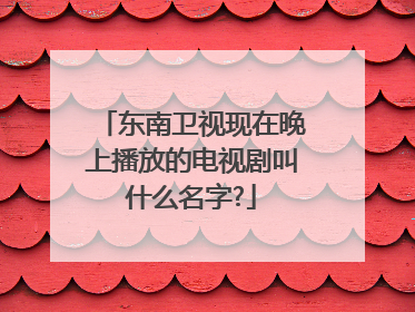 东南卫视现在晚上播放的电视剧叫什么名字?