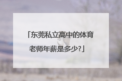 东莞私立高中的体育老师年薪是多少?