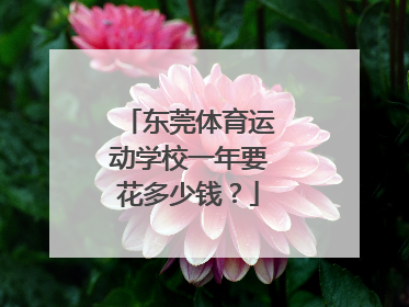 东莞体育运动学校一年要花多少钱？