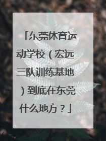 东莞体育运动学校（宏远三队训练基地）到底在东莞什么地方？