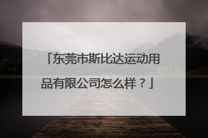 东莞市斯比达运动用品有限公司怎么样？