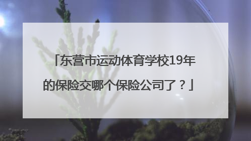 东营市运动体育学校19年的保险交哪个保险公司了？