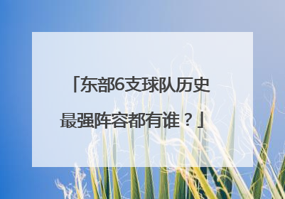 东部6支球队历史最强阵容都有谁？