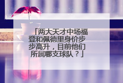 两大天才中场福登和佩德里身价步步高升，目前他们所属哪支球队？