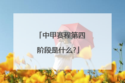 中甲赛程第四阶段是什么?