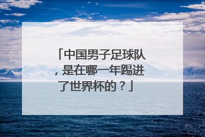 中国男子足球队，是在哪一年踢进了世界杯的？