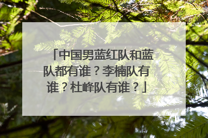 中国男蓝红队和蓝队都有谁？李楠队有谁？杜峰队有谁？