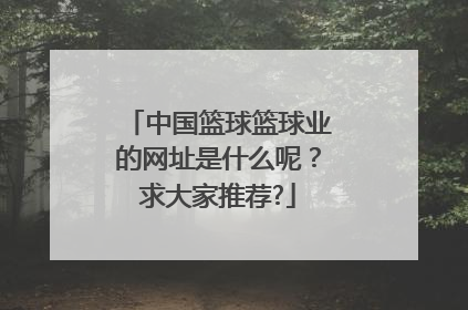 中国篮球篮球业的网址是什么呢？求大家推荐?