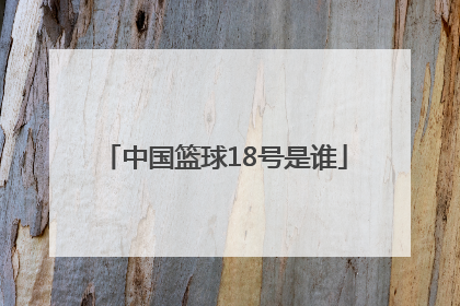 「中国篮球18号是谁」中国18号篮球员是谁