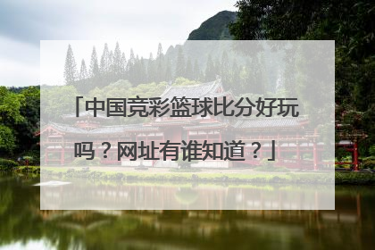 中国竞彩篮球比分好玩吗？网址有谁知道？