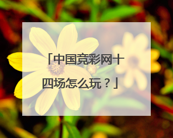 中国竞彩网十四场怎么玩？